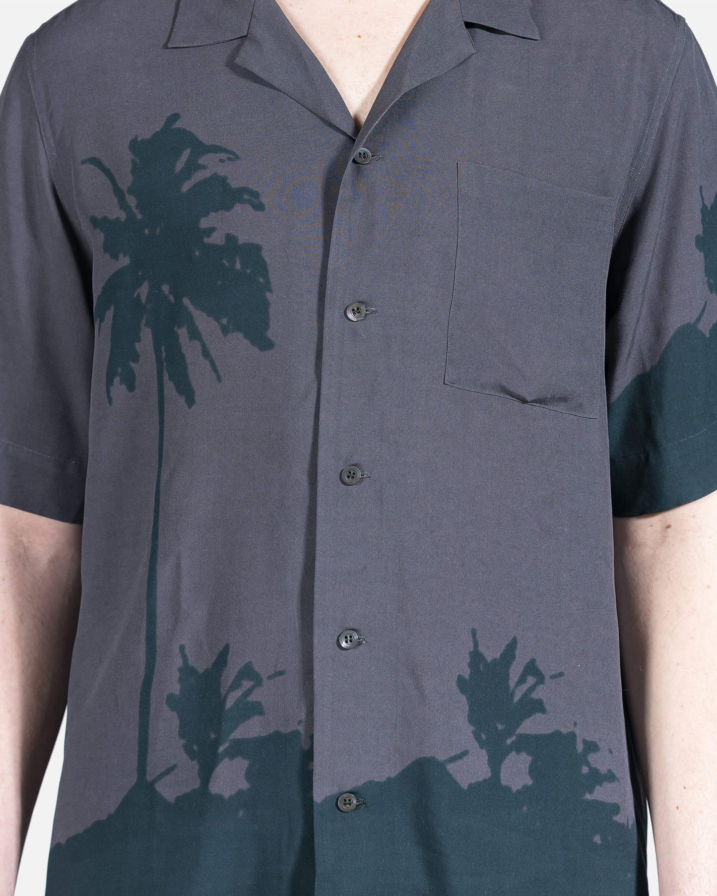 Dries Van Noten Men's Shirts Carltone Button Up in Grey