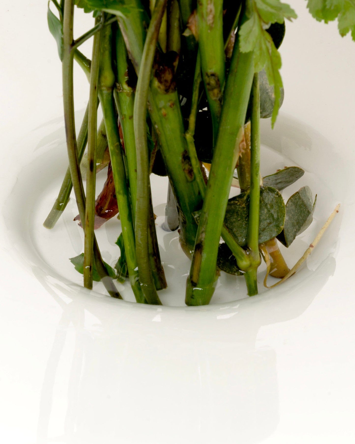 Vormen Home Goods Vase in White