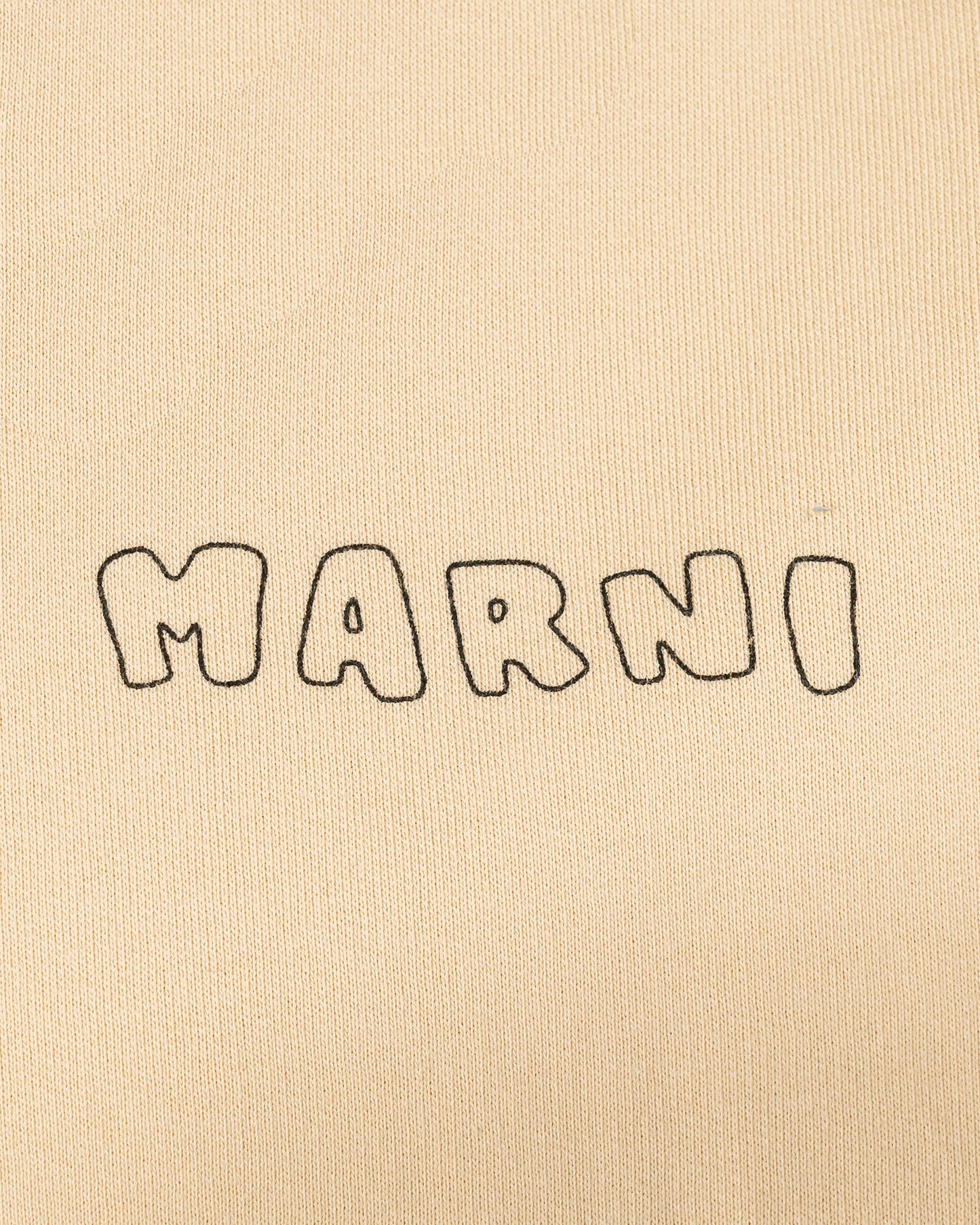 Marni Men's Sweatshirts Vibrating Flower Motif Hoodie in Cream