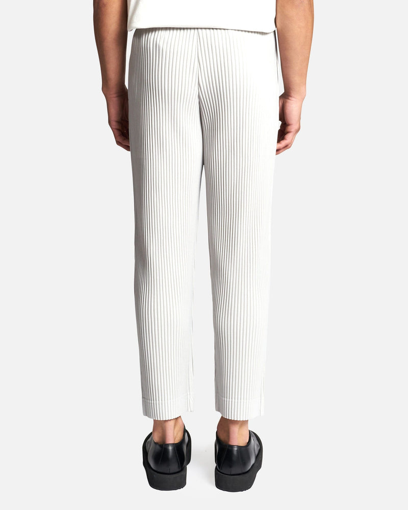 Basics Pleated Trousers in Light Gray