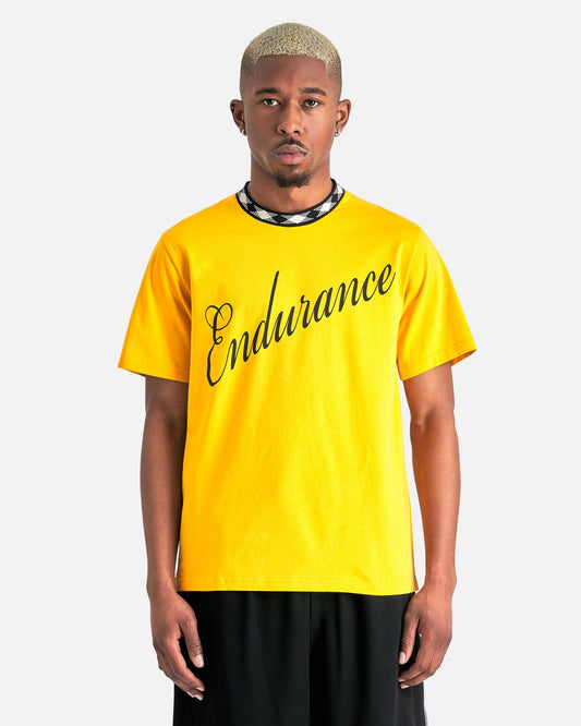 Wales Bonner Men's T-Shirts Endurance T-Shirt in Turmeric