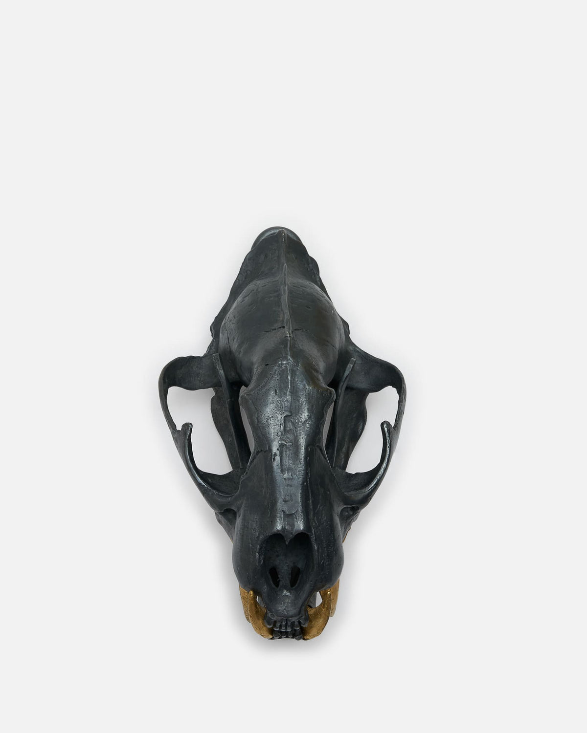Parts of Four Jewelry OS Leopard Skull in KAS, AG