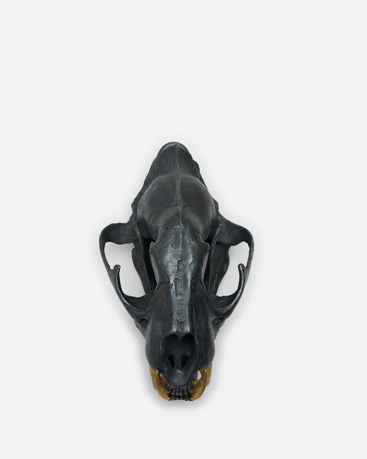 Parts of Four Jewelry OS Leopard Skull in KAS, AG