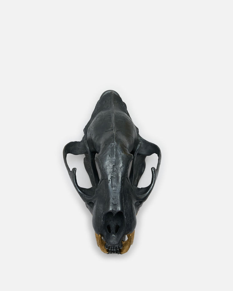 Parts of Four Jewelry OS Leopard Skull in KAS, AG