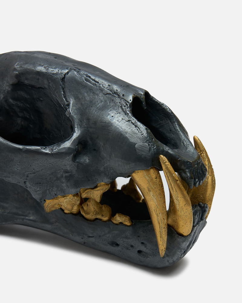 Parts of Four Jewelry OS Leopard Skull in KAS, AG