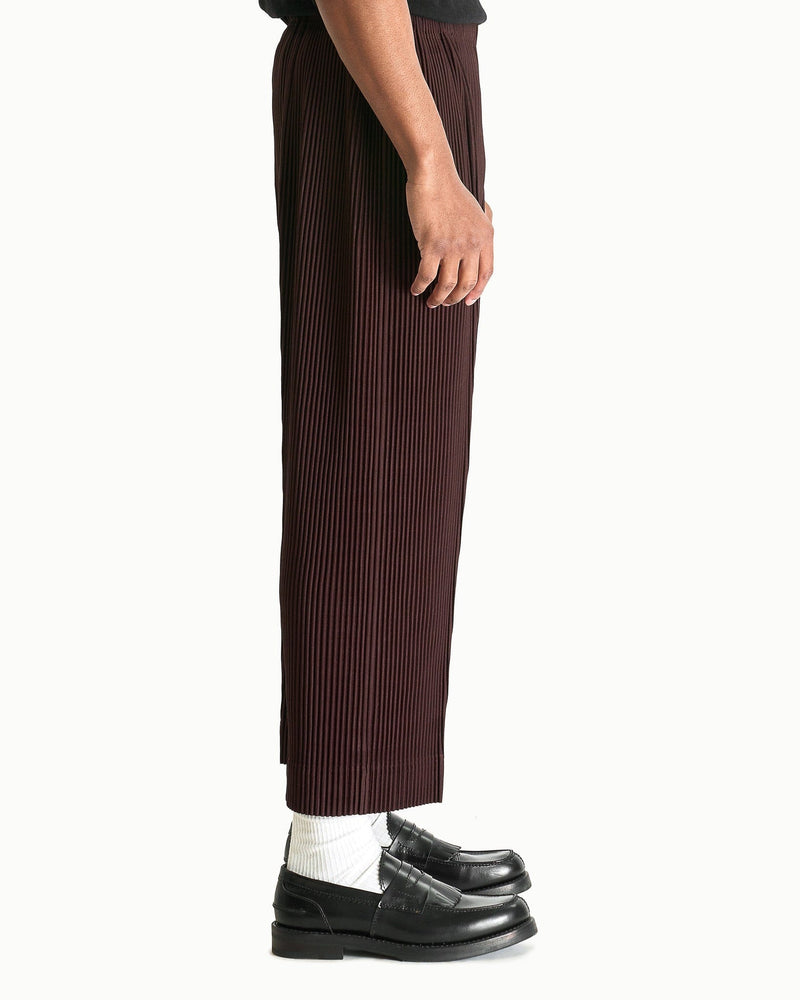 Homme Plissé Issey Miyake Men's Pants MC January Pants in Eggplant