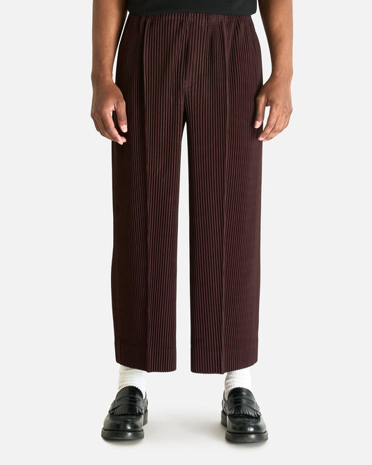 Homme Plissé Issey Miyake Men's Pants MC January Pants in Eggplant