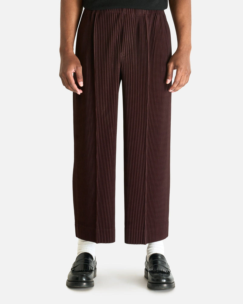 Homme Plissé Issey Miyake Men's Pants MC January Pants in Eggplant