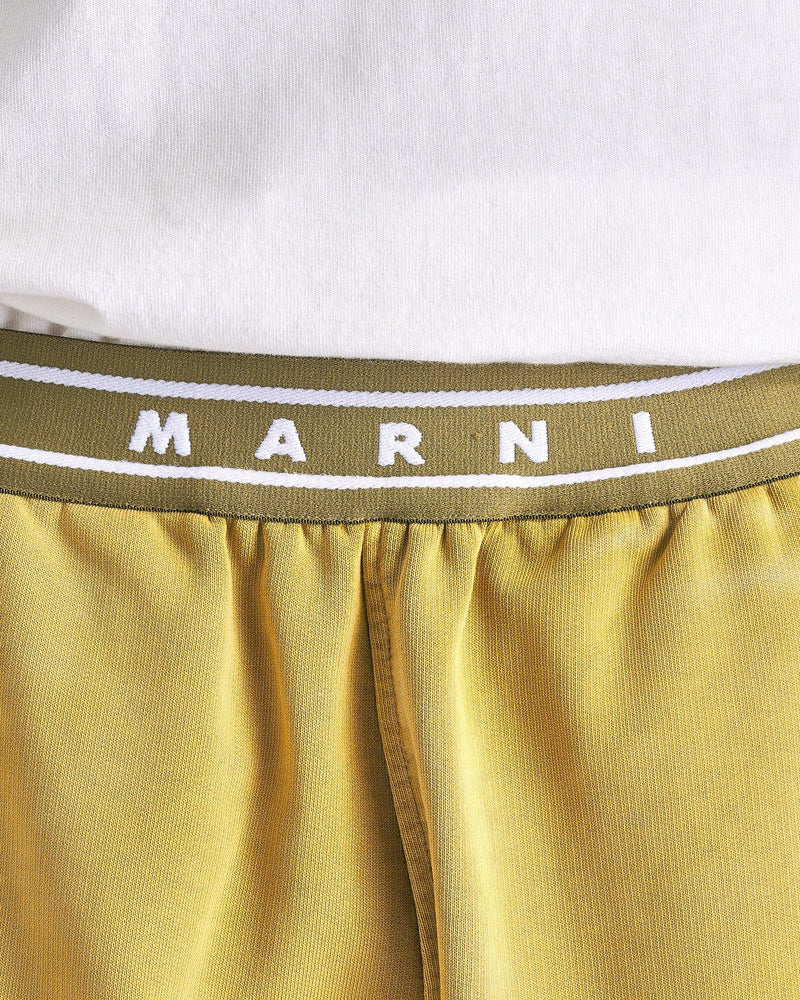Marni Men's Shorts Overdyed Organic Cotton Trousers in Steppe