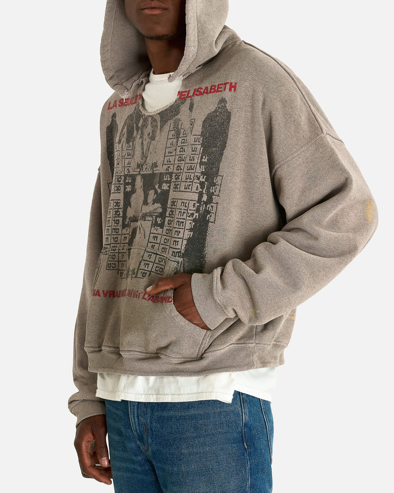 Enfants Riches Deprimes Men's Sweatshirts Photo D'Elisabeth Hoodie in Dirty Heather Grey