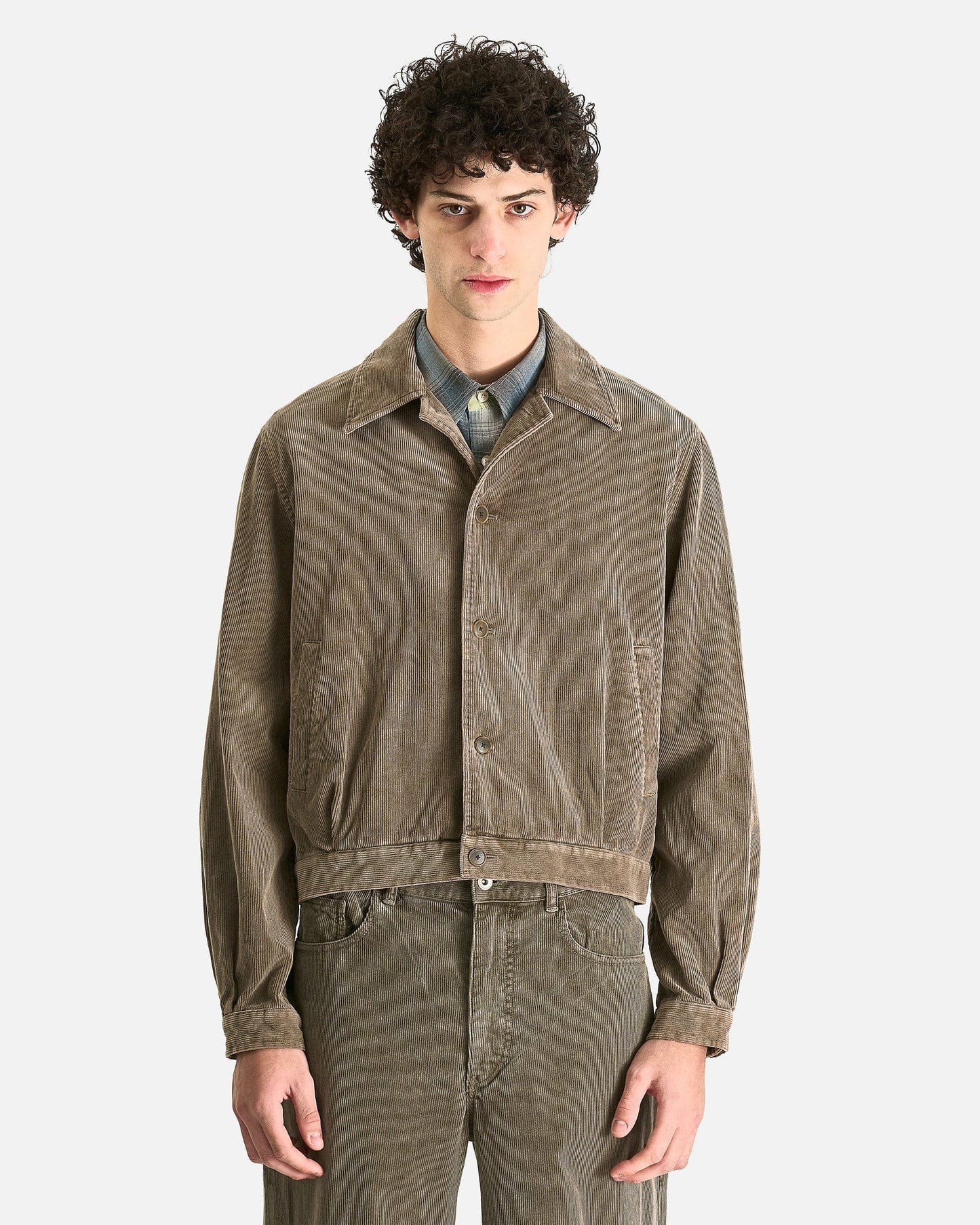 Auralee Men's Jackets Pigment Dyed Finx Corduroy Blouson in Olive Brown