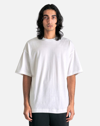 RB T-Shirt in Pink/Gray – SVRN