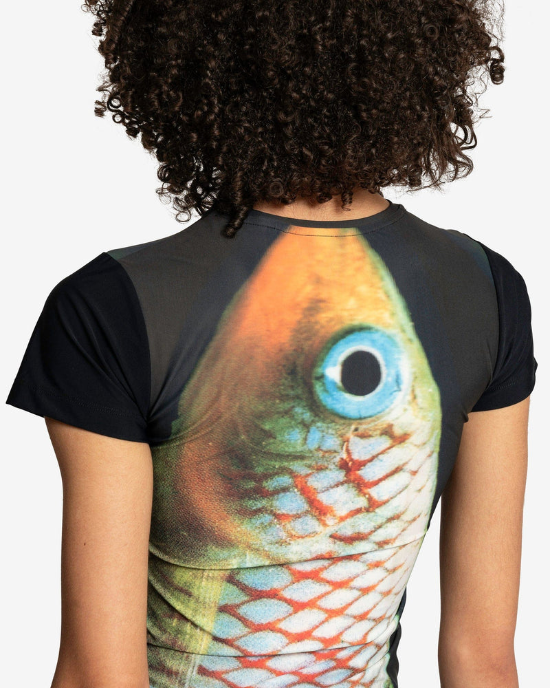 Botter Women T-Shirts Short Sleeve T-Shirt in Large Fish Print