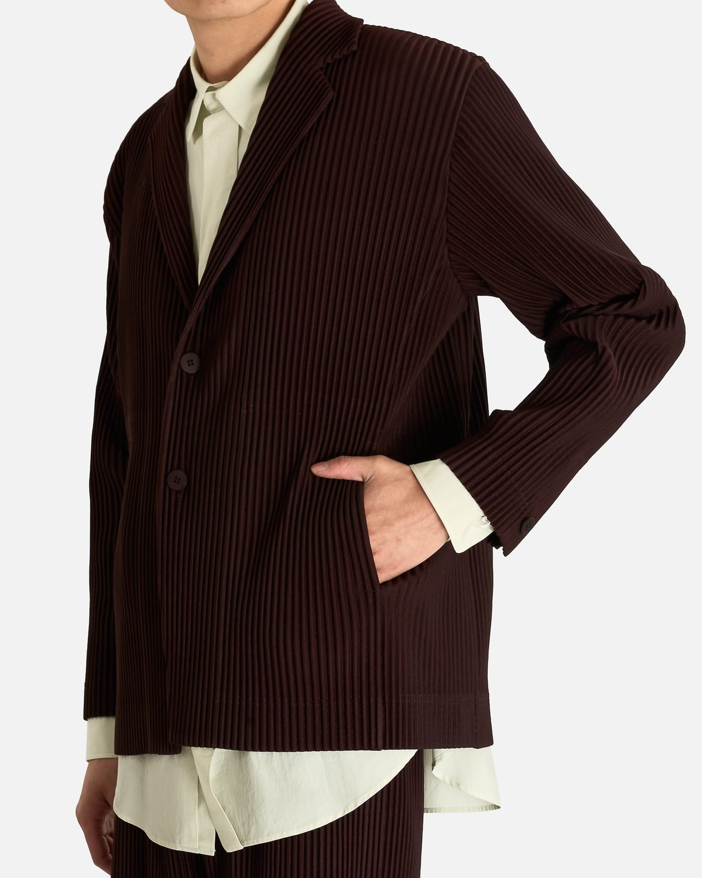 Homme Plissé Issey Miyake Jacket Tailored Pleats 22 in Eggplant
