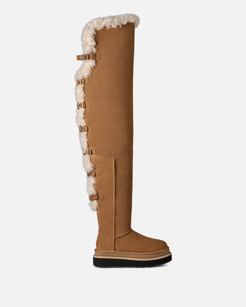 UGG Men's Boots Women's sacai Thigh High Boot in Chestnut