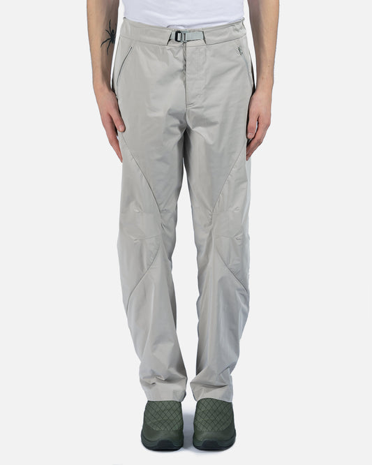 POST ARCHIVE FACTION (P.A.F) Men's Pants 4.0+ Technical Pants Right in Light Grey