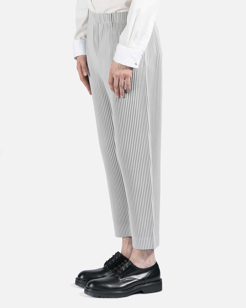 Basics Pleated Trousers in Grey