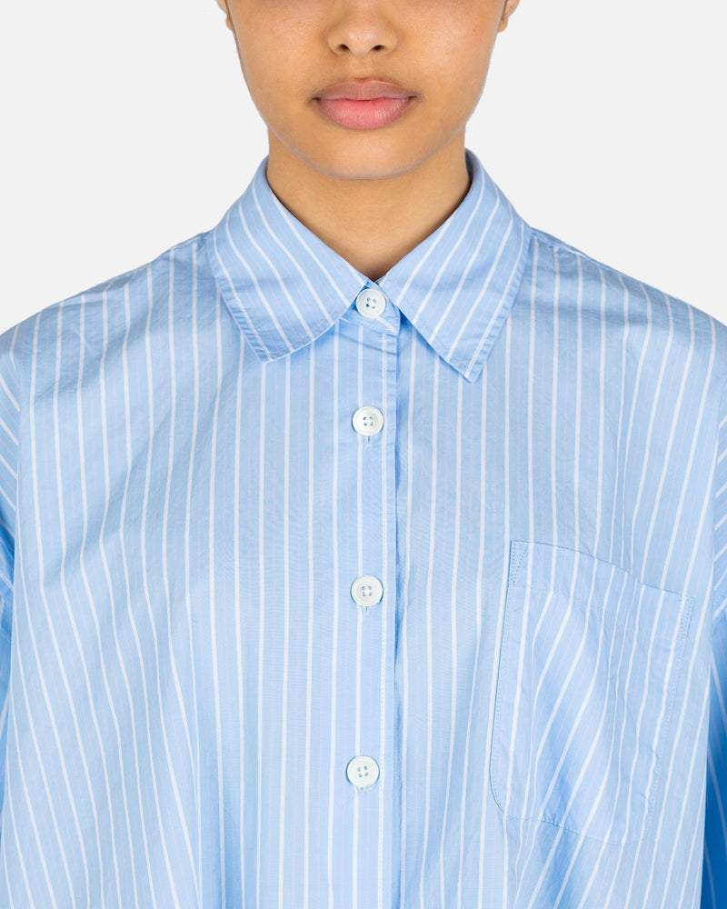 Borrowed Shirt in Blue/Rose Olden Stripe – SVRN