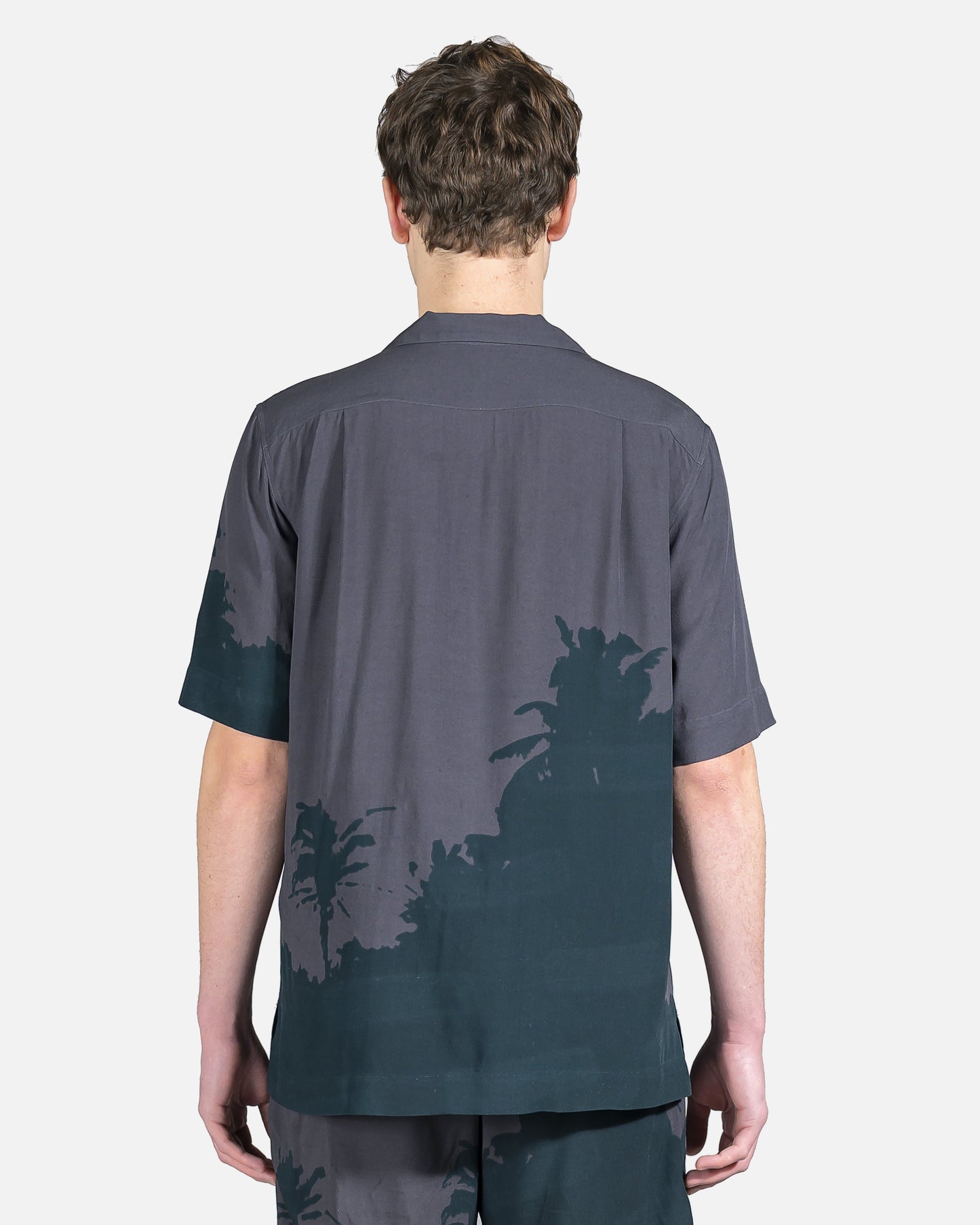 Dries Van Noten Men's Shirts Carltone Button Up in Grey