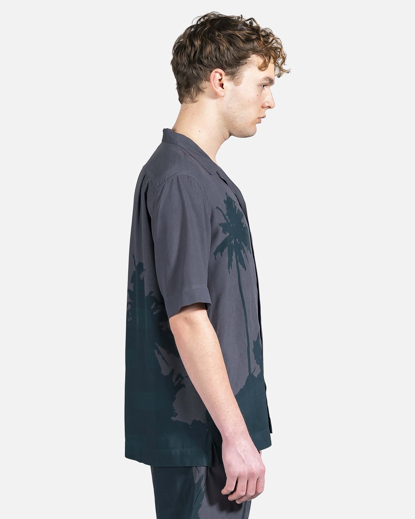 Dries Van Noten Men's Shirts Carltone Button Up in Grey