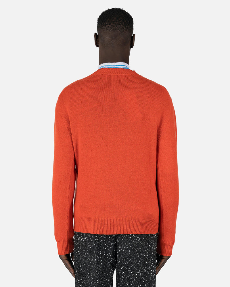 Marni mens sweater Flower Crewneck Sweater in Orange