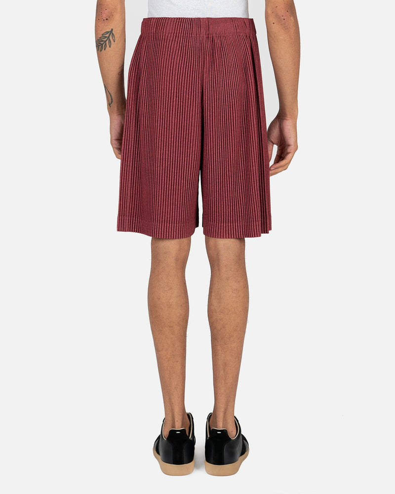 Homme Plissé Issey Miyake Men's Shorts Heather Pleats Shorts in Red