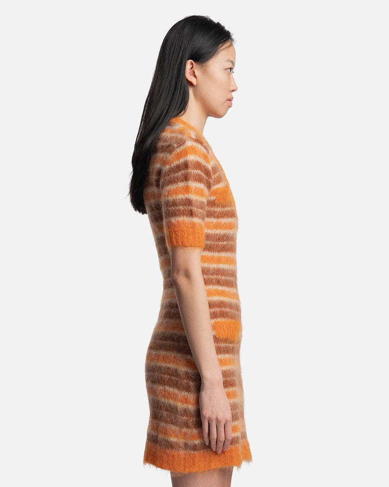 Marni Women Dresses Iconic Brushed Striped Dress in Clay