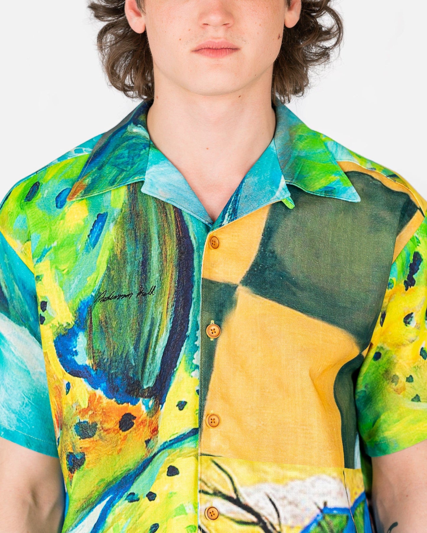 Andersson Bell Men's Shirts Impressionist Printed Shirt in Green