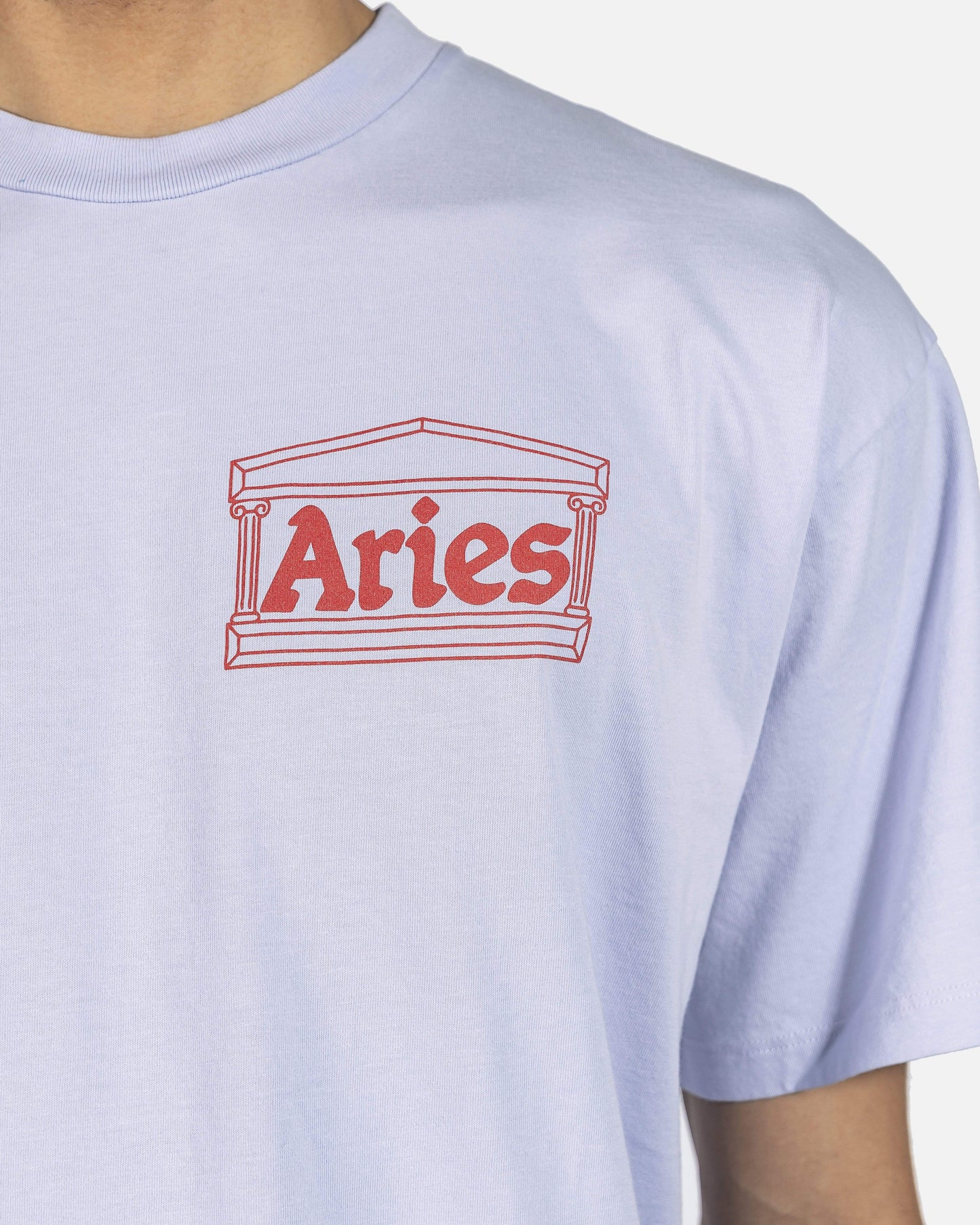 Aries Men's T-Shirts Kebab Shortsleeve Tee in Lilac