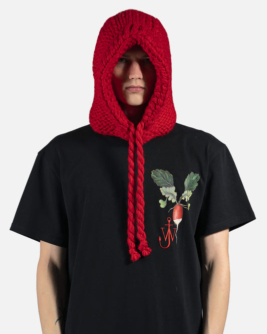JW Anderson Scarves Knitted Hood in Red