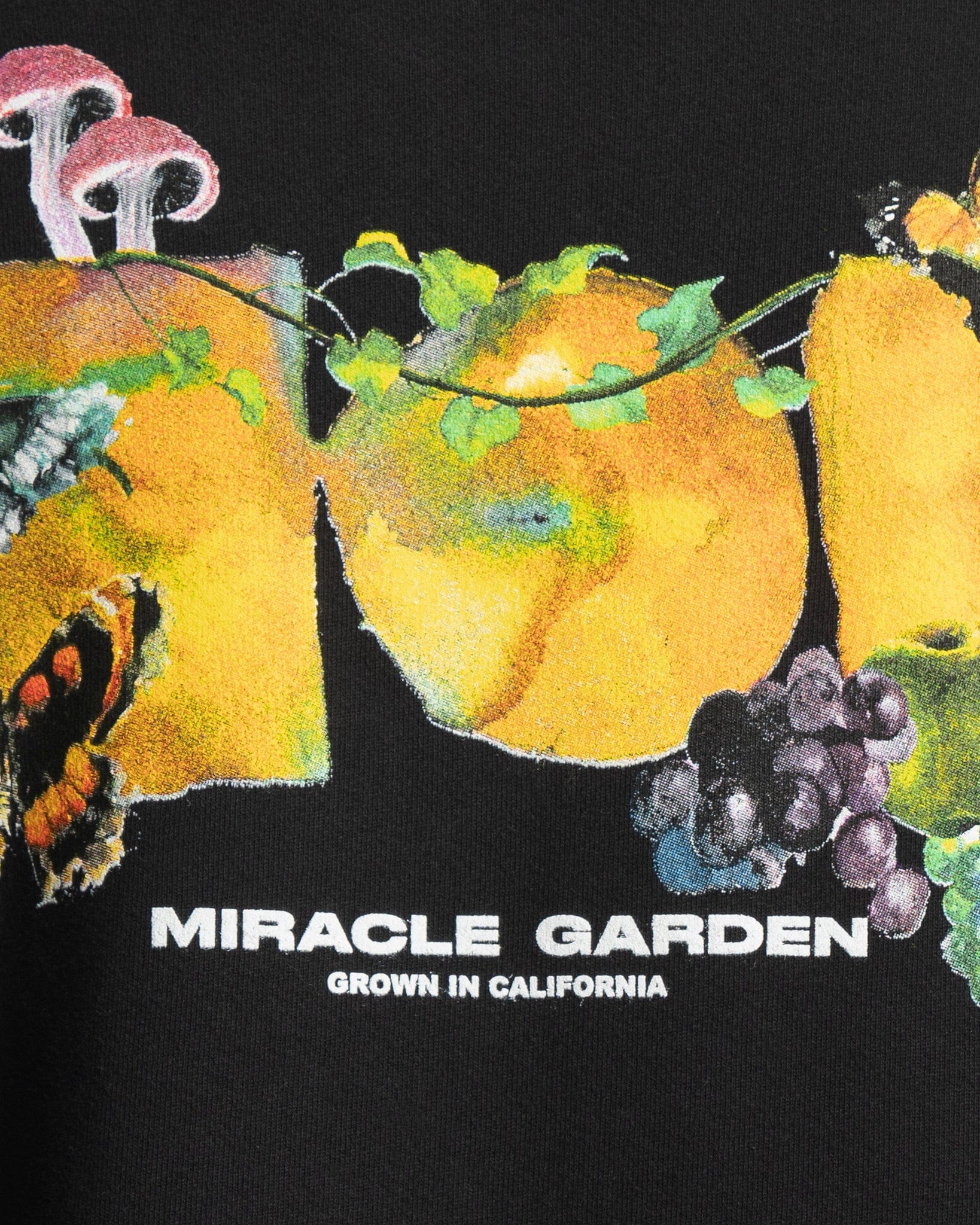 Nahmias Men's Sweatshirts Miracle Garden Hoodie in Black