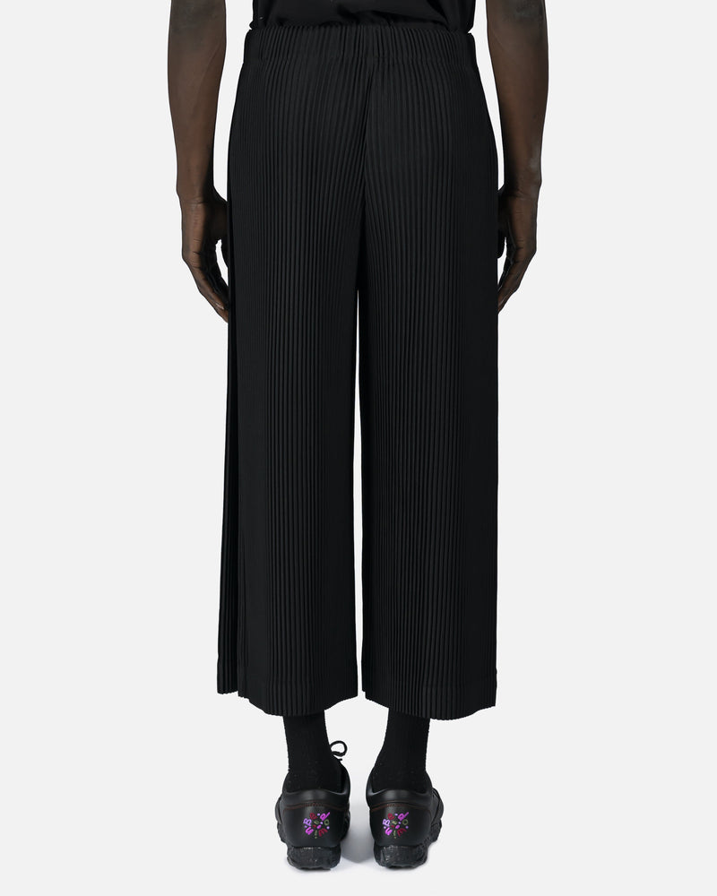 Homme Plissé Issey Miyake Men's Pants Monthly Colors Trousers in Black