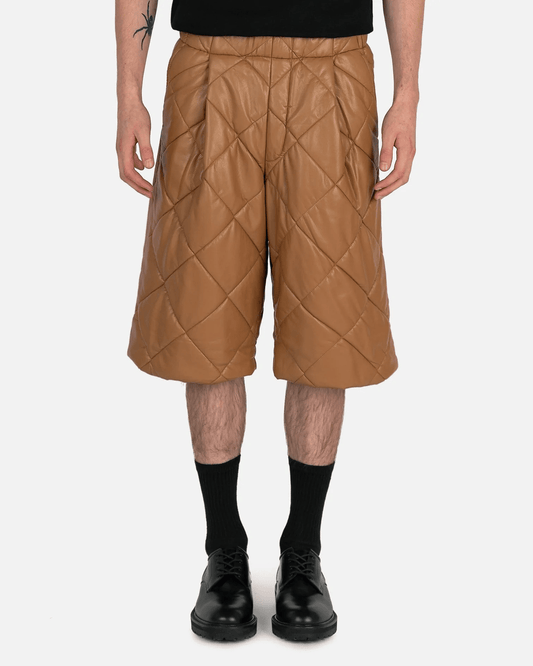 Dries Van Noten Men's Pants Parnell Pants in Camel