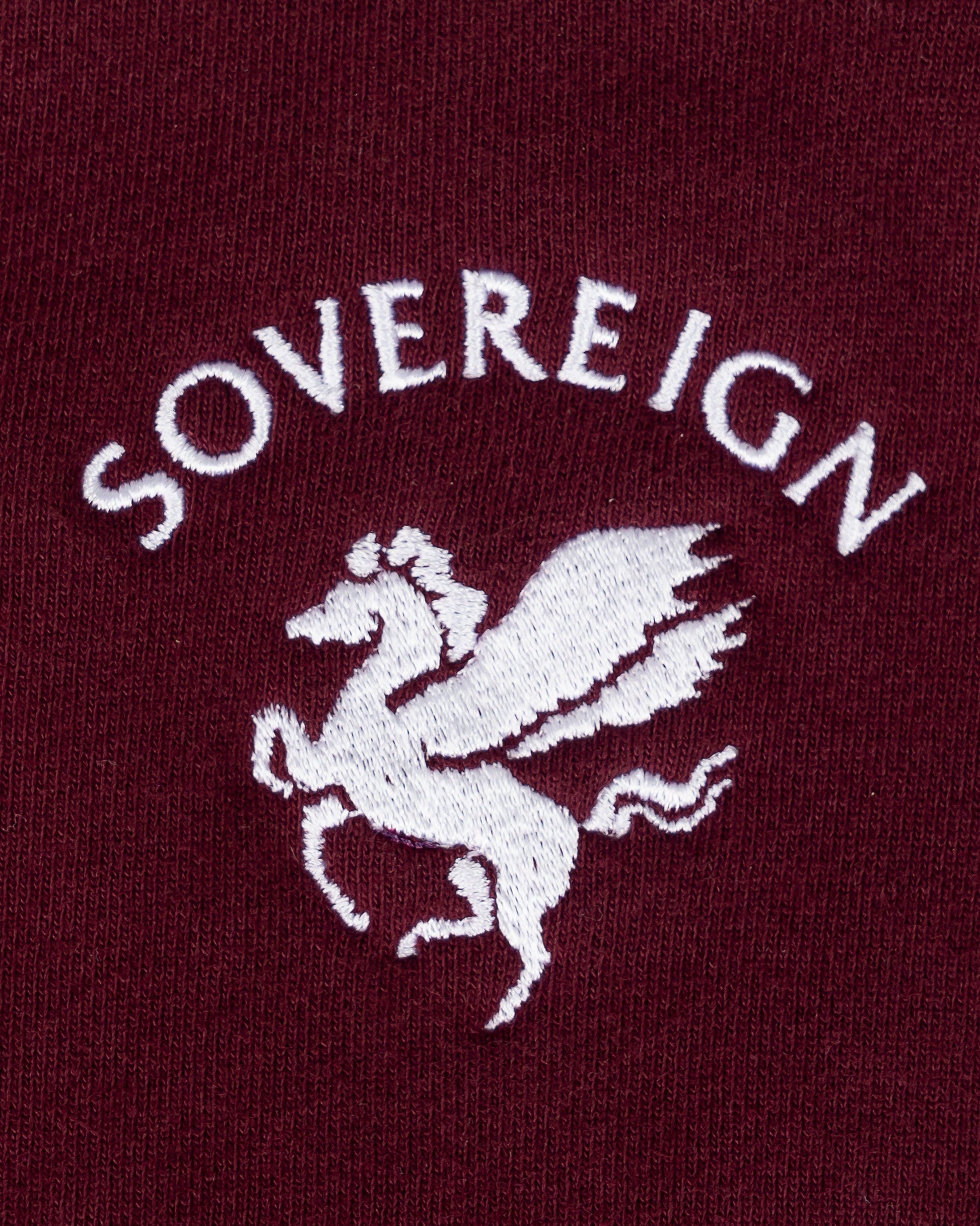 SVRN Men's Sweatshirts Pegasus Hoodie in Burgundy