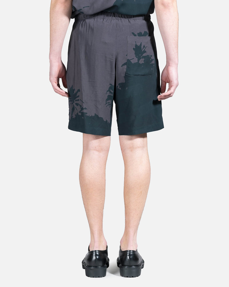 Dries Van Noten Men's Shorts Piperi Shorts in Grey