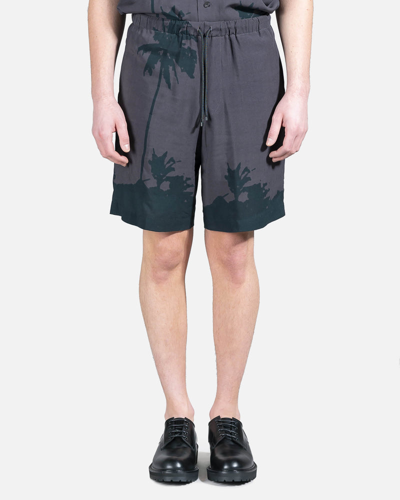 Dries Van Noten Men's Shorts Piperi Shorts in Grey