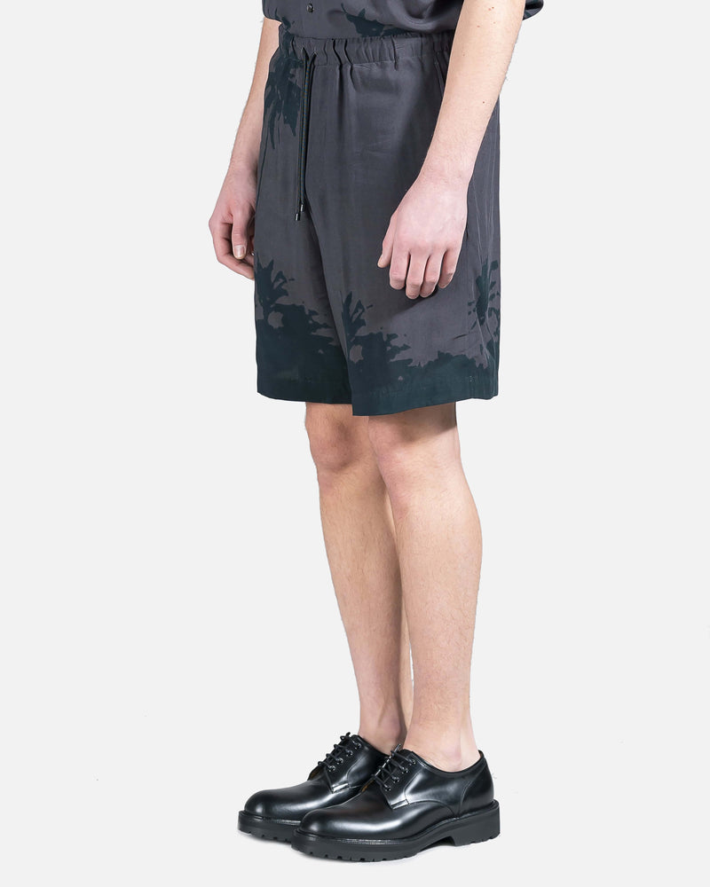 Dries Van Noten Men's Shorts Piperi Shorts in Grey