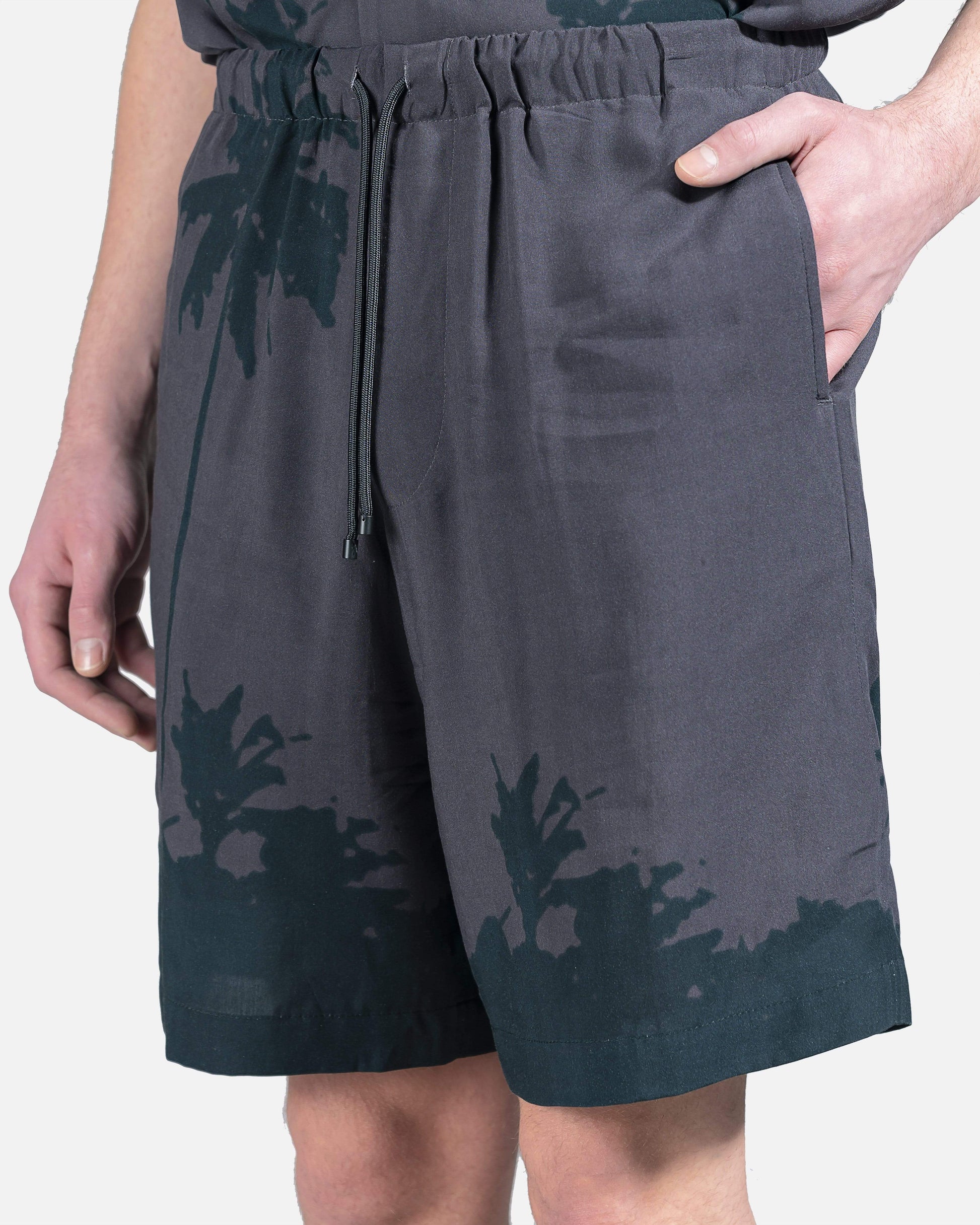 Dries Van Noten Men's Shorts Piperi Shorts in Grey