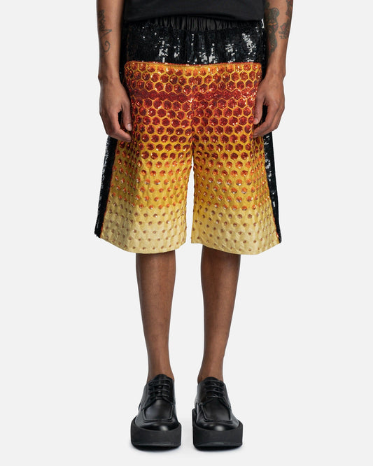 Dries Van Noten Men's Shorts Plade EMB Pants