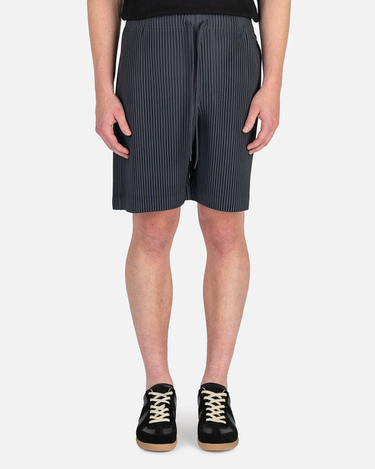 Homme Plissé Issey Miyake Men's Pants Pleats Bottoms 3 Pants in Charcoal
