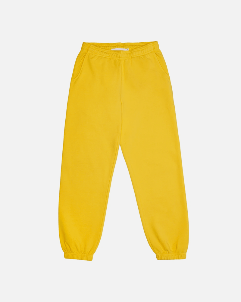 Melody Ehsani Women Pants Rose Sweatpant in Canary