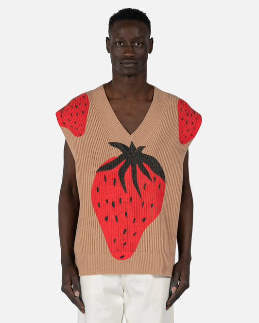 JW Anderson mens sweater Strawberry V-Neck Vest in Brown